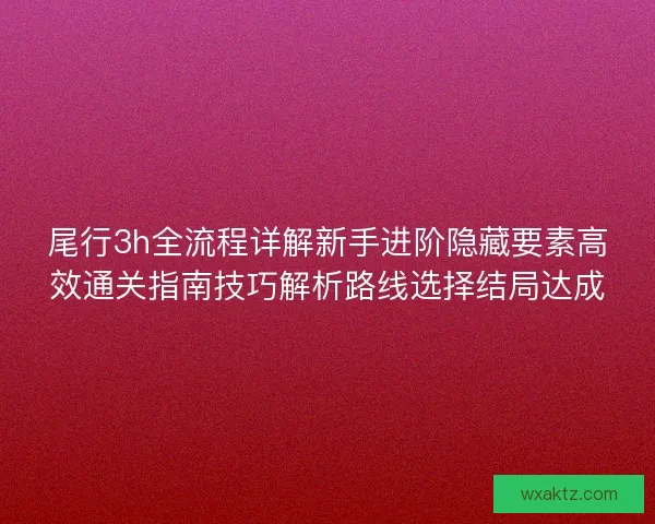 尾行3h全流程详解新手进阶隐藏要素高效通关指南技巧解析路线选择结局达成