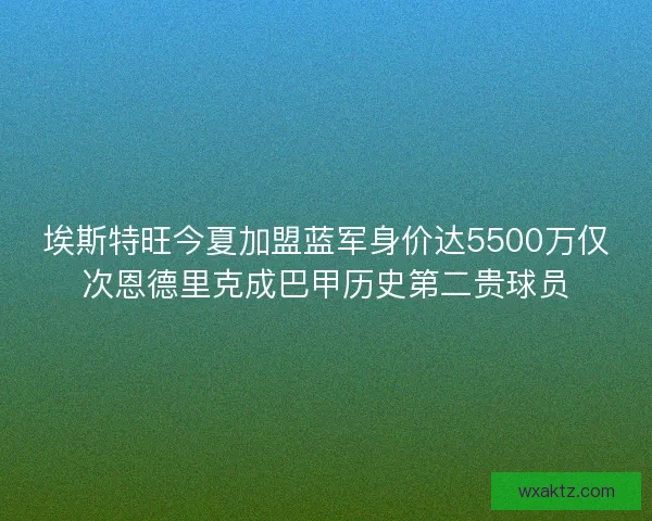 埃斯特旺今夏加盟蓝军身价达5500万仅次恩德里克成巴甲历史第二贵球员