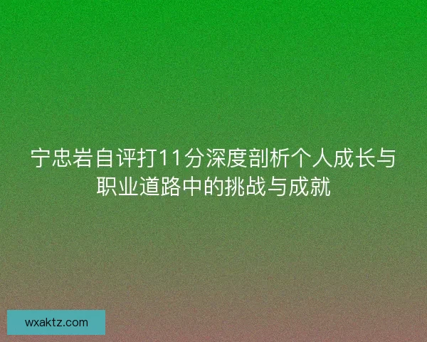 宁忠岩自评打11分深度剖析个人成长与职业道路中的挑战与成就