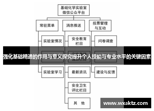 强化基础精通的作用与意义探究提升个人技能与专业水平的关键因素