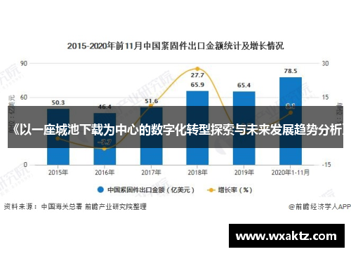 《以一座城池下载为中心的数字化转型探索与未来发展趋势分析》