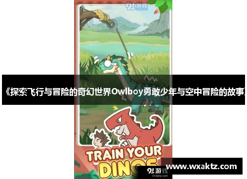 《探索飞行与冒险的奇幻世界Owlboy勇敢少年与空中冒险的故事》